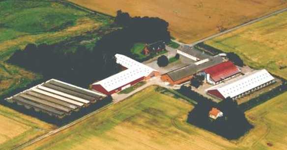Vanggaard